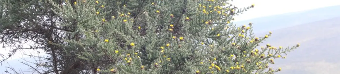 Kilimanjaro Marangu Route 