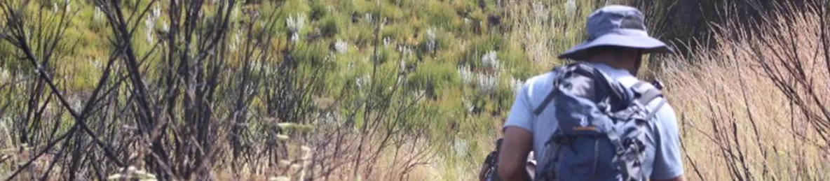 Kilimanjaro Marangu Route 