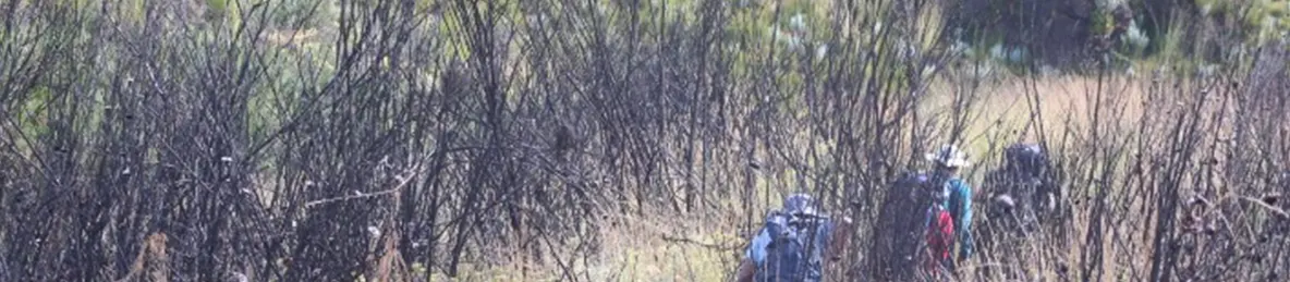 Kilimanjaro Marangu Route 