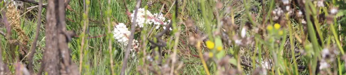 Kilimanjaro Marangu Route 