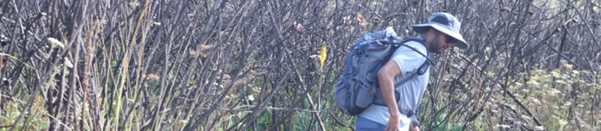 Kilimanjaro Marangu Route 