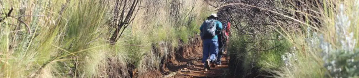 Kilimanjaro Marangu Route 