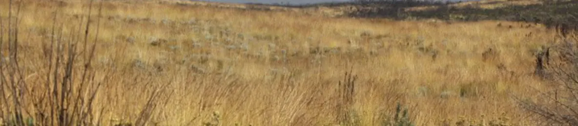 Kilimanjaro Marangu Route 