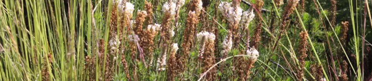 Kilimanjaro Marangu Route 