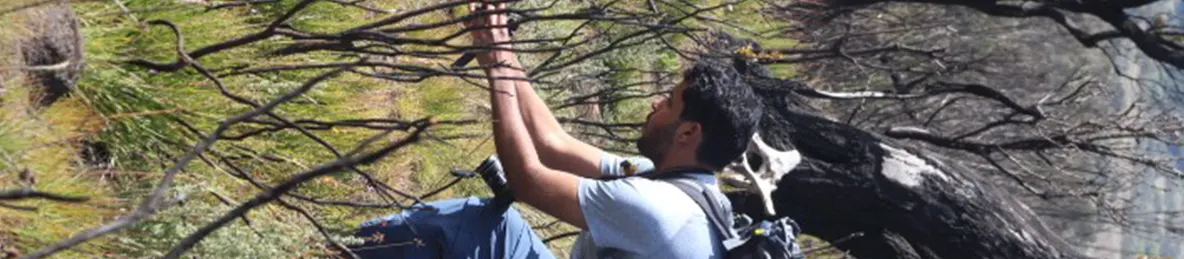 Kilimanjaro Marangu Route 