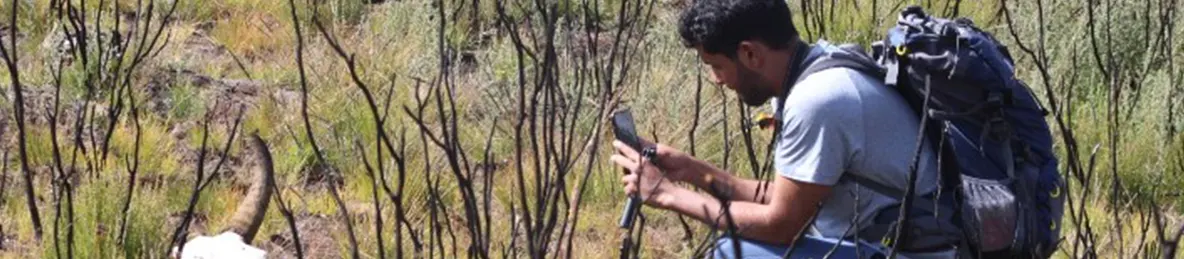 Kilimanjaro Marangu Route 