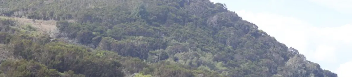 Kilimanjaro Marangu Route 