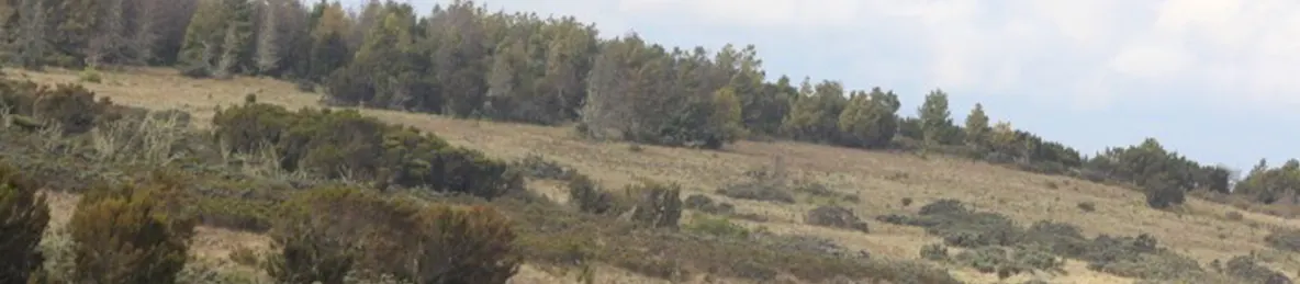 Kilimanjaro Marangu Route 