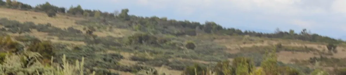 Kilimanjaro Marangu Route 