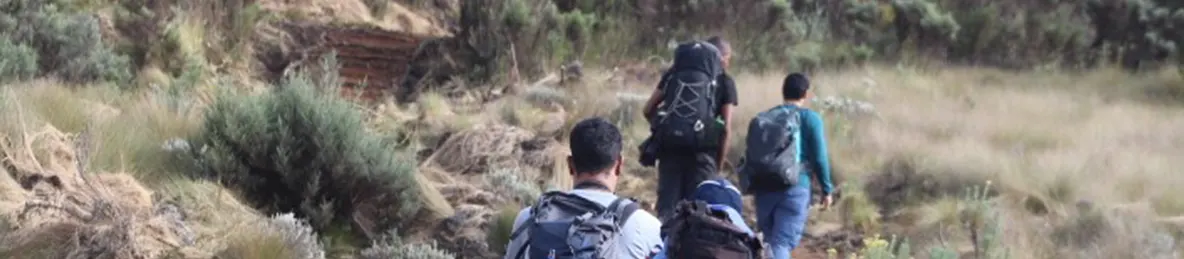 Kilimanjaro Marangu Route 