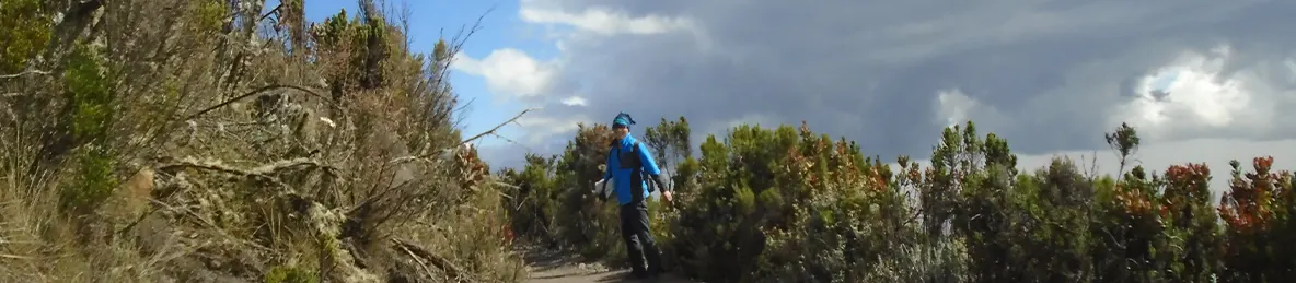 Kilimanjaro Marangu Route 