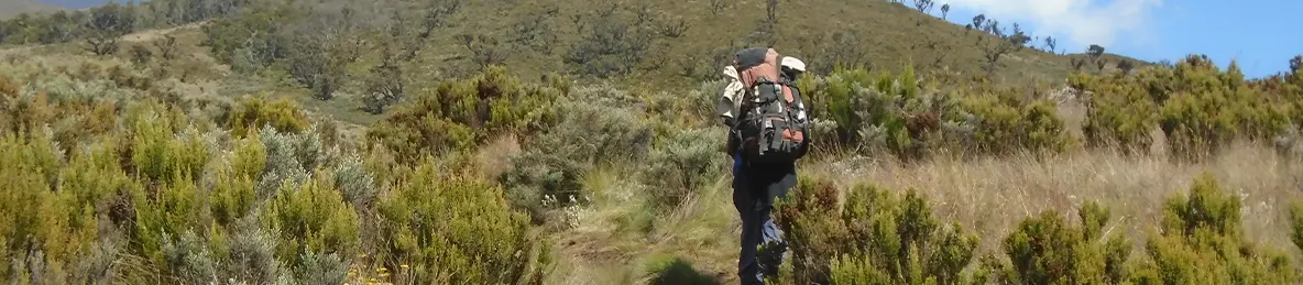 Kilimanjaro Marangu Route 