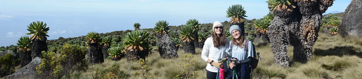 Kilimanjaro Marangu Route 