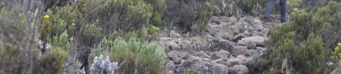 Kilimanjaro Marangu Route 