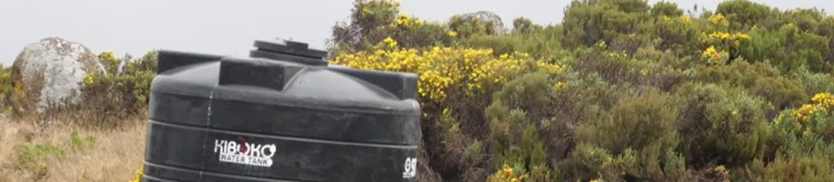 Kilimanjaro Marangu Route 