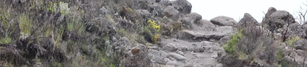 Kilimanjaro Marangu Route 