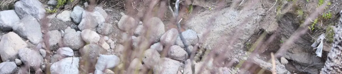 Kilimanjaro Marangu Route 