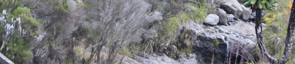 Kilimanjaro Marangu Route 