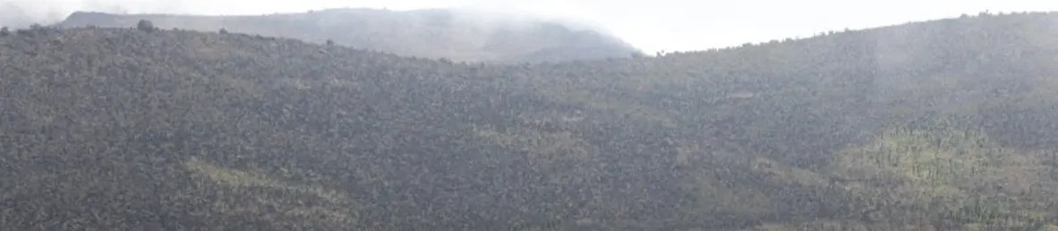 Kilimanjaro Marangu Route 