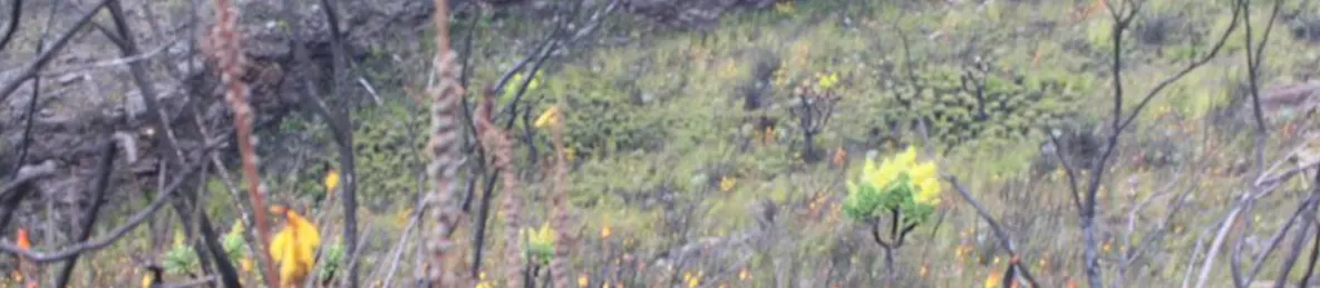 Kilimanjaro Marangu Route 