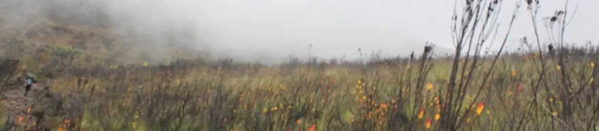 Kilimanjaro Marangu Route 