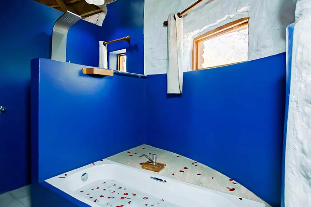 Manyara Safari Lodge Images