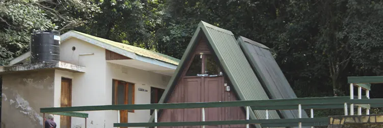 Horombo Hut to  Mandara Hut  to Marangu Gate Back to Moshi/Arusha 