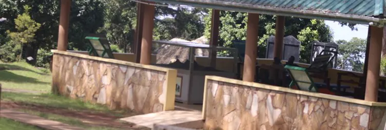 Marangu Gate hike to Mandara Hut