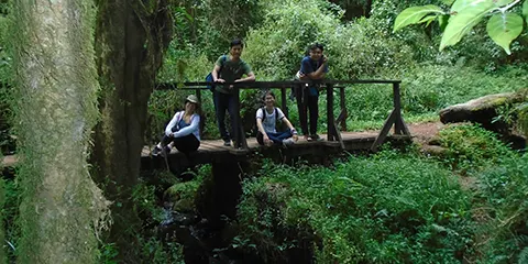 5 Days Trek Marangu Route Journey to the Summit