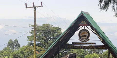6 Days Marangu Route Kilimanjaro Hiking up to Summit 