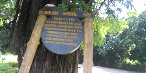 cover-5 Days Trip to Kilimanjaro Hiking Glory on Marangu