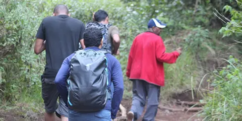 5 Days Peak Pursuit of Kilimanjaro Triumph via Marangu Route