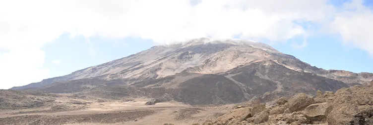 Ascend climb from Moir Camp to Buffalo Camp (4,020m)