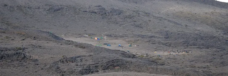 Moir Hut Buffalo Camp 