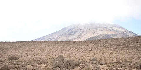 8 Day Northern Circuit Route Kilimanjaro Climbing