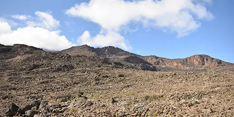 8 Days Epic Summit Pursuit the Ultimate Kilimanjaro Trekking Northern Circuit Adventure