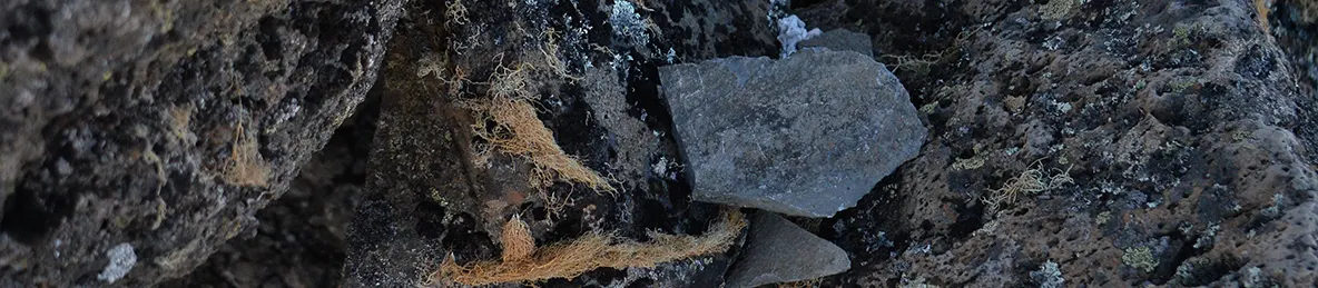 Kilimanjaro Northern Circuit Route