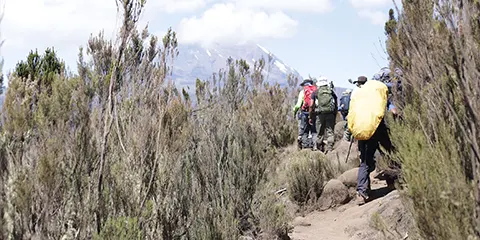 10 Days Kilimanjaro Climb via Northern Circuit Route