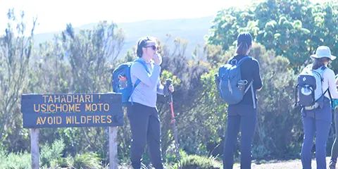 cover-8 Days Kilimanjaro Challenges Trip of Lemosho Route 