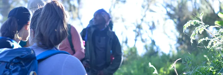 Shira 1 Camp to Lava Tower to Moir Hut