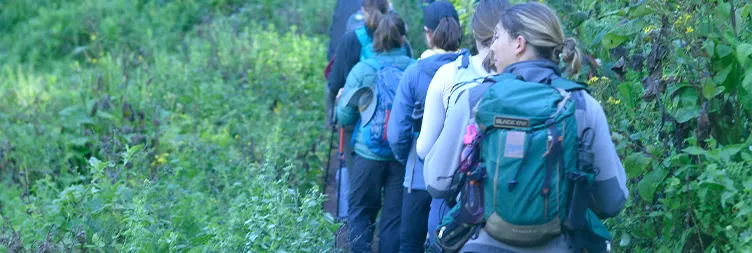 Mti Mkubwa â€“ Shira 1 Camp: 