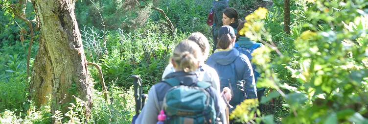 Barranco Camp to Karanga Camp