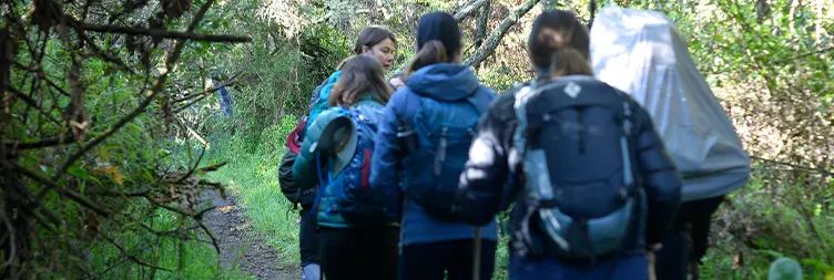 Mti Mkubwa -Shira 1 Camp 