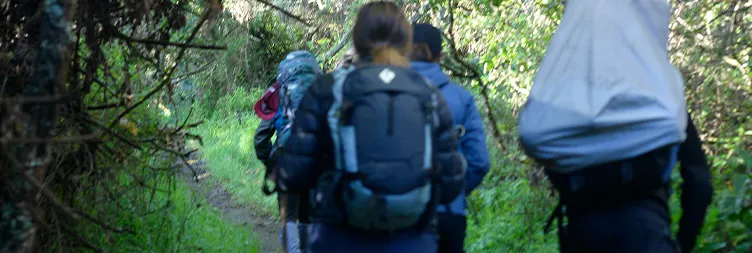 Mti Mkubwa â€“ Shira 1 Camp 