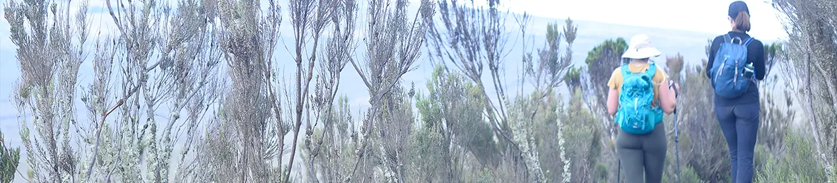 Kilimanjaro Lemosho Route, Northern Circuit Route