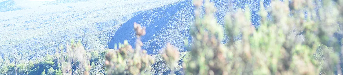 Kilimanjaro Lemosho Route, Northern Circuit Route