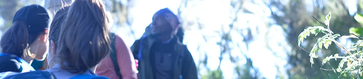 Kilimanjaro Lemosho Route, Northern Circuit Route