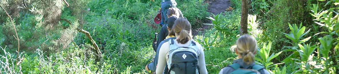 Kilimanjaro Lemosho Route, Northern Circuit Route