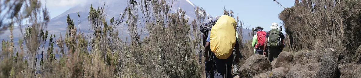 Kilimanjaro Lemosho Route, Northern Circuit Route