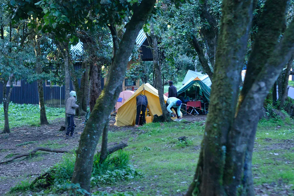Big Tree (Mti Mkibwa) Campsite Kilimanjaro